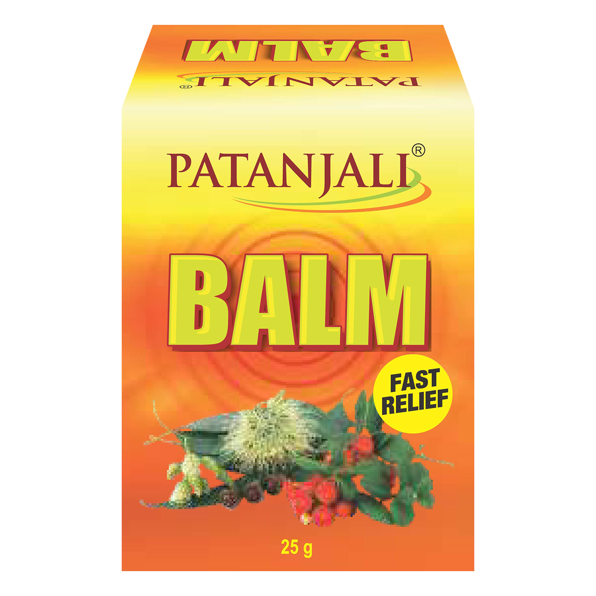 PATANJALI BALM 25GM