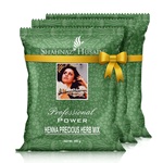 SHAHNAZ HUSAIN HENNA MEHENDI 300GM