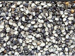 URAD TUKDA 500GM