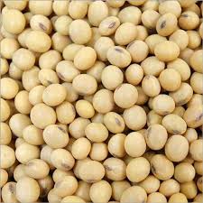 SOYABIN BIYA 250GM