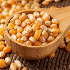 MAKAI POPCORN  500GM